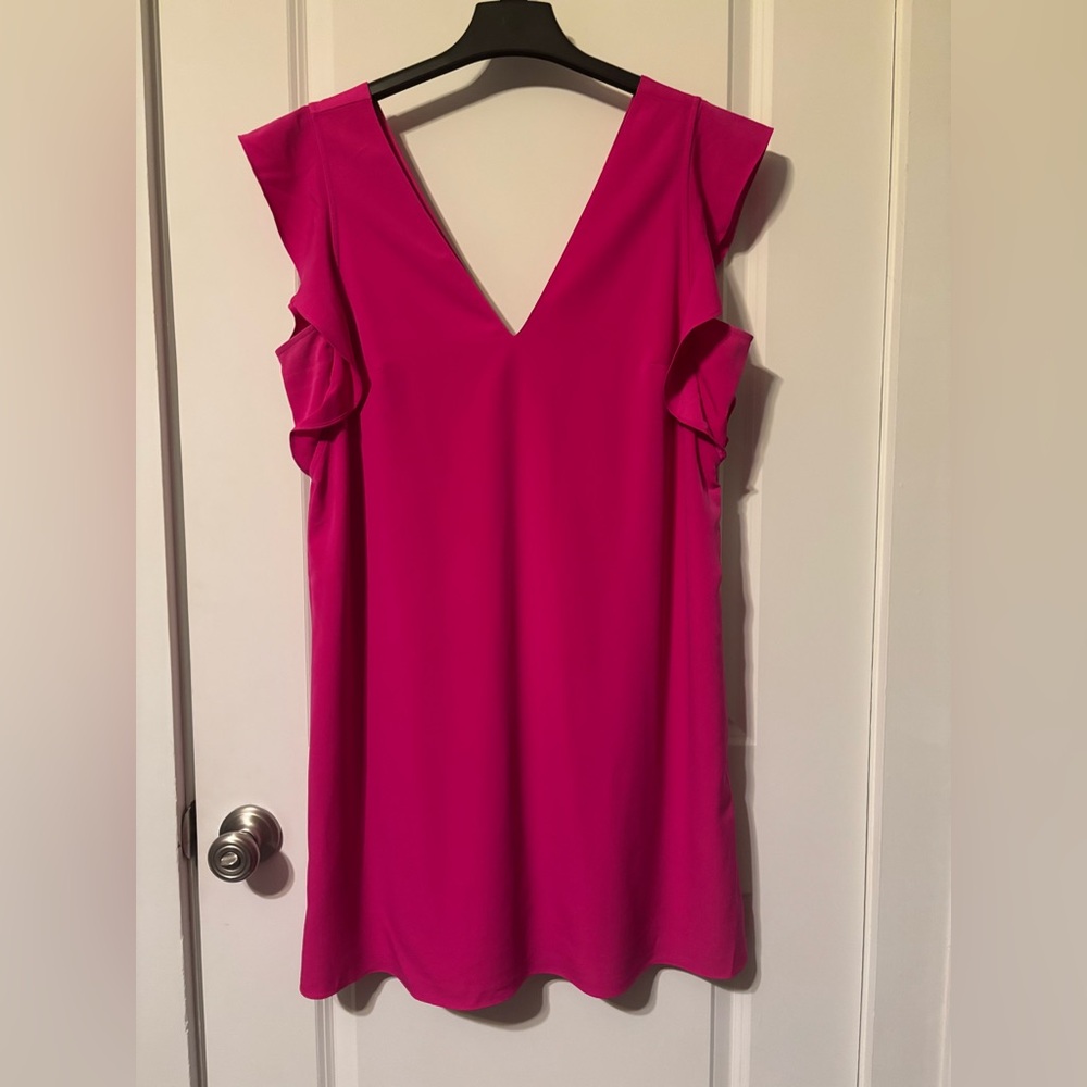Express Pink Ruffle Sleeve Dress